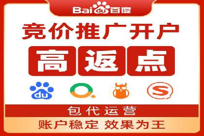百度推广在电商行业的应用案例